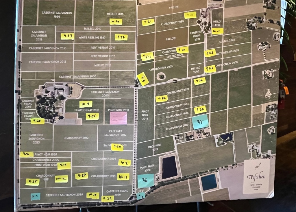 aerial map, with small stickers on vine plots